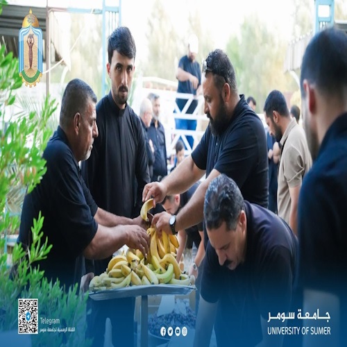 اعلام جامعة سومر